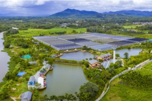 屯昌县猪哈哈的农场