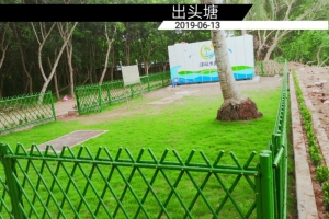 澄迈县农村生活污水连片治理项目一期