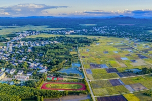 临高县松梅村田园