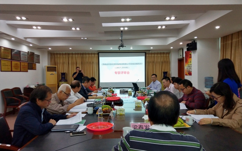 海垦控股集团发展战略规划专家评审会在海南省农垦设计院召开
