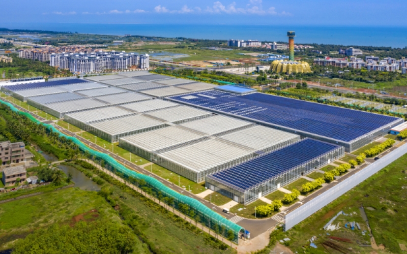 桂林洋国家热带农业公园