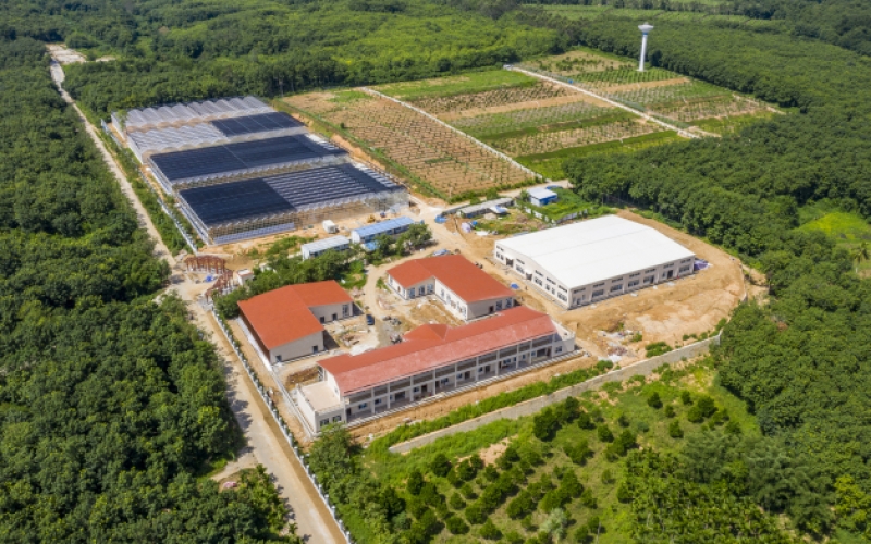 两院热带生态循环农业园